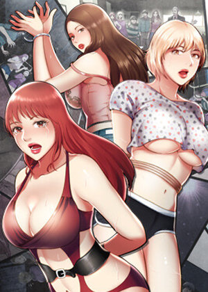 钢之炼金术师 封面